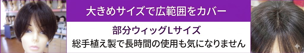 部分ウィッグ人毛Lサイズ各種。