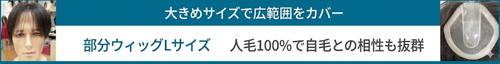 男性用メンズ部分ウィッグ人毛Lサイズ各種
