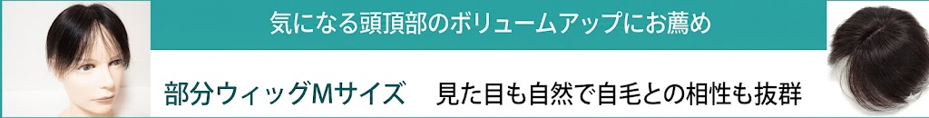 男性用メンズ部分ウィッグ人毛Mサイズ各種