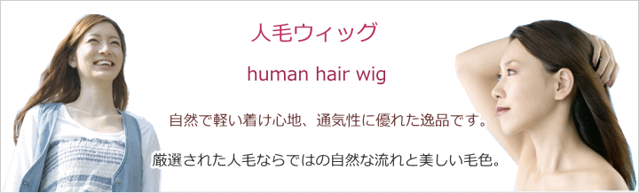 フルウィッグ人毛50センチ未満