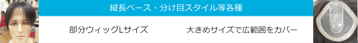 男性用メンズ部分ウィッグ人毛Lサイズ各種