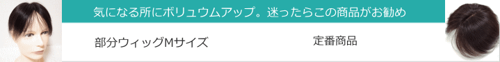 男性用メンズ部分ウィッグ人毛Mサイズ各種