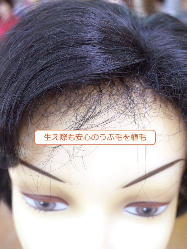 フルウィッグ ミセス・シニア向け 総手植え製ウェーブヘアー