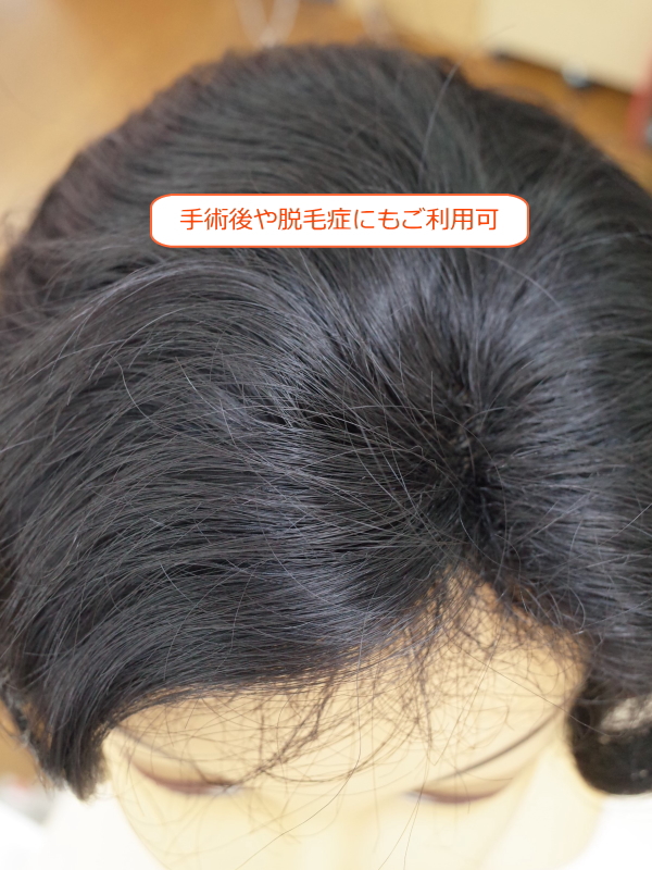 フルウィッグ ミセス・シニア向け 総手植え製ウェーブヘアー hm130