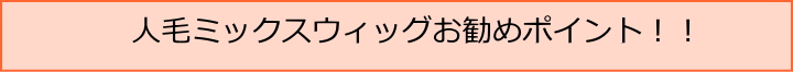 人毛ミックスウィツグのお勧めポイント