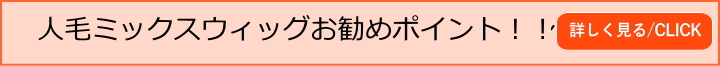 人毛ミックスウィツグのお勧めポイント