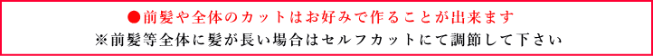 ●前髪等全体に髪が長い場合はレーザーなどでセルフカットにて調節して下さい