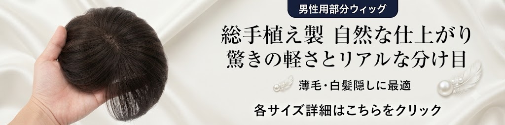 男性部分ウィッグ