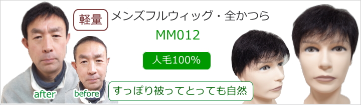 男性用メンズフルウィッグ人毛100％全かつらMM012
