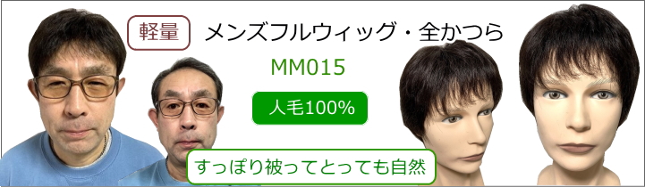 男性用メンズフルウィッグ人毛100％全かつらMM015