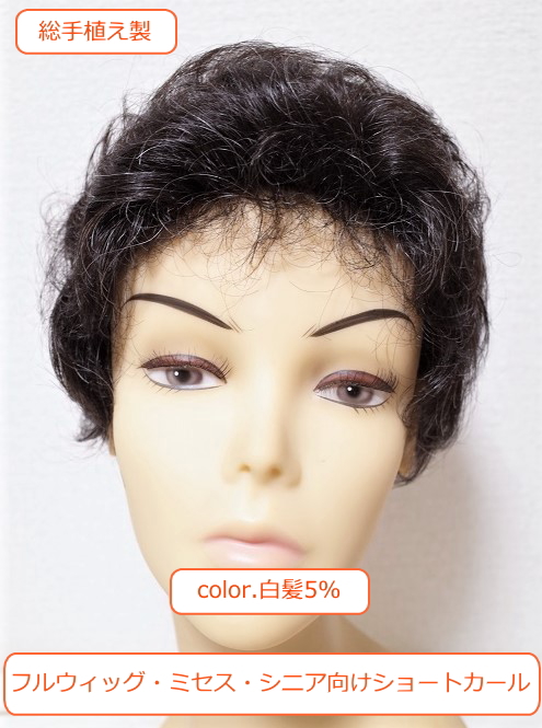 フルウィッグ 人工毛 ミセス・シニア向け 総手植え製 ショートカール 白髪5%入り n600s正面画像