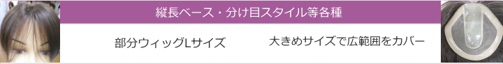 部分ウィッグ人毛Lサイズ各種。