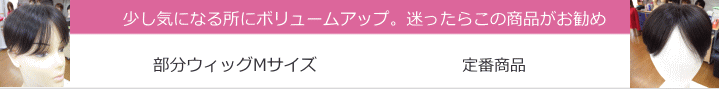 部分ウィッグ人毛Mサイズ各種