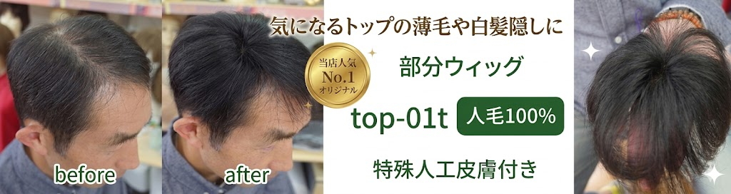 男性用メンズ部分ウィッグSサイズtop-01t