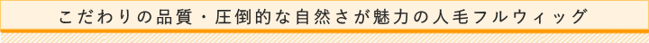 こだわりの品質・圧倒的な自然さが魅力の人毛フルウィッグ