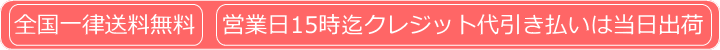3月22（水）15時以降のご注文は翌日23日（木）出荷

