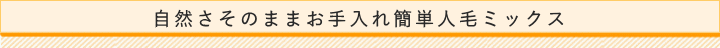 自然さそのままお手入れ簡単人毛ミックス