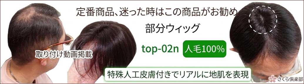 男性用メンズ部分ウィッグMサイズtop-02n