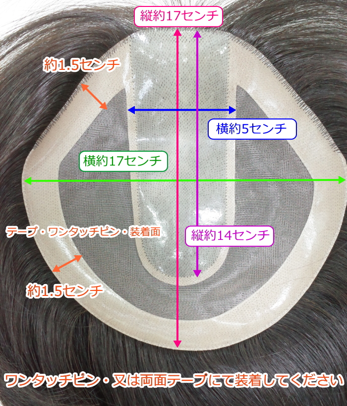 女性用人毛部分ウィッグLサイズセンター分け地肌付きtop-600裏面詳細画像