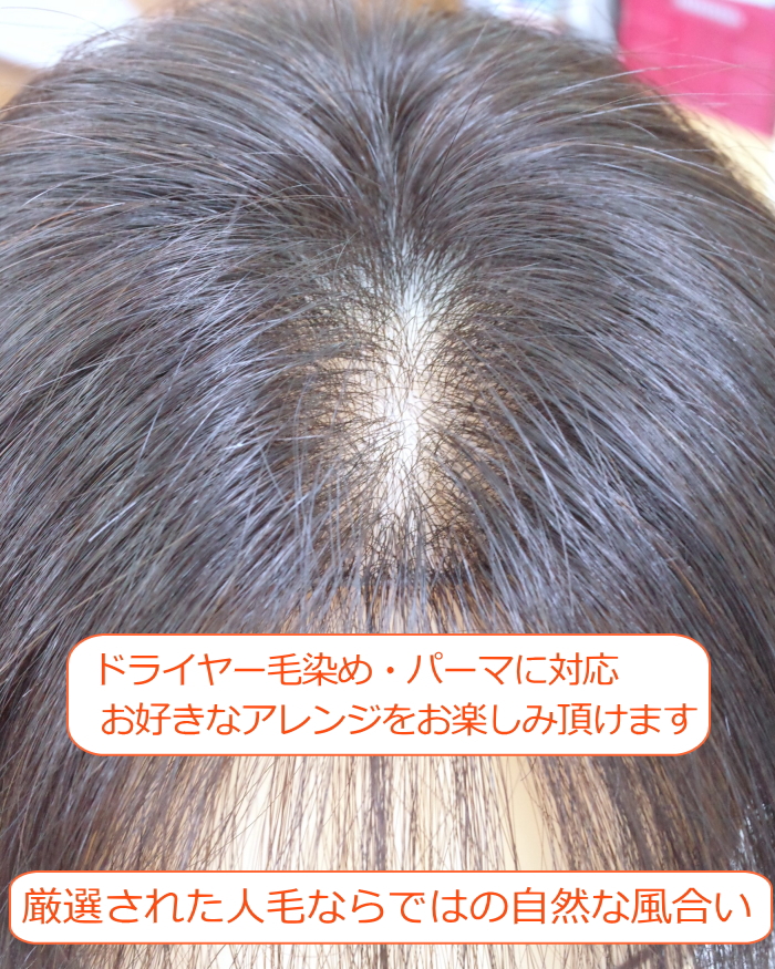 人毛部分ウィッグ 女性用ヘアピース センター分けLサイズ top-600a