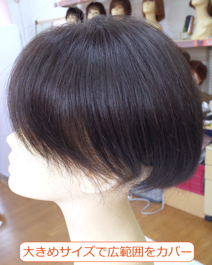 人毛部分ウィッグ センター分け Lサイズ 男女兼用 医療用にも最適 top-600
