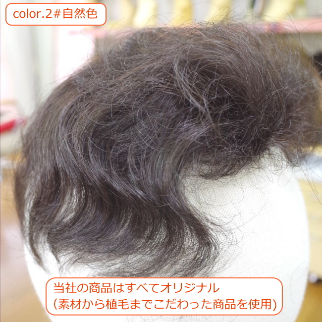 部分ウィッグ かつら ミセス・シニア向け 総手植え製人