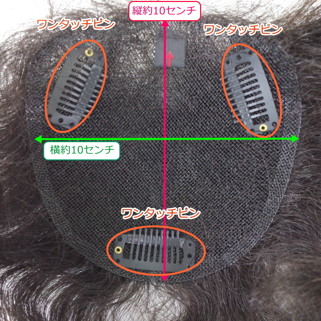 部分ウィッグ かつら ミセス向け 人工毛 ナチュラルカール 総手植え製 Sサイズ top-sm裏面詳細画像