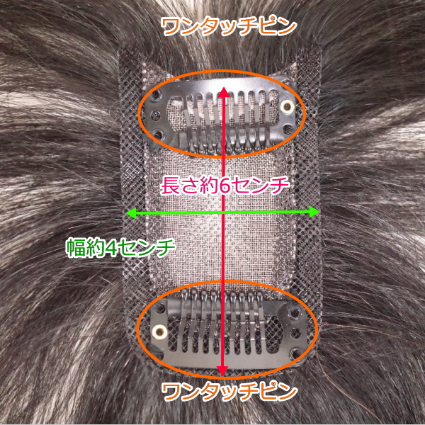 人毛部分ウィッグ 女性用ヘアピース Sサイズ ナチュラル