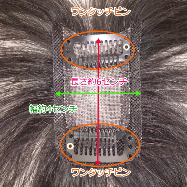 女性用人毛部分ウィッグSサイズtop-s裏面詳細