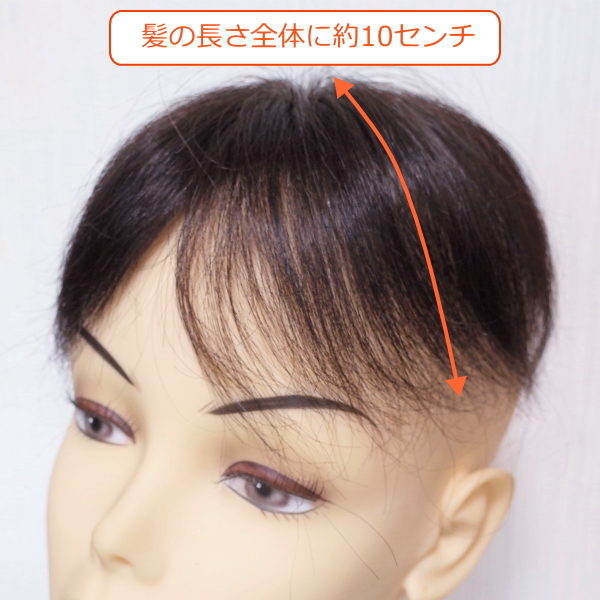 人毛部分ウィッグ 女性用ヘアピース Sサイズ ナチュラル 人毛部分ウィッグ 女性用ヘアピース Sサイズ ナチュラル