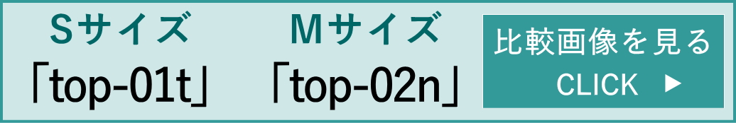 top-01t・top-02n比較表