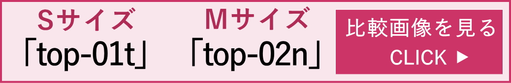 top-01t・top-02n比較表